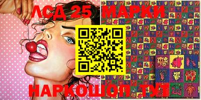 индика Кандалакша