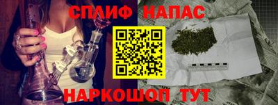 индика Кандалакша