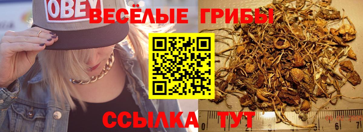 Галлюциногенные грибы мухоморы Кудрово