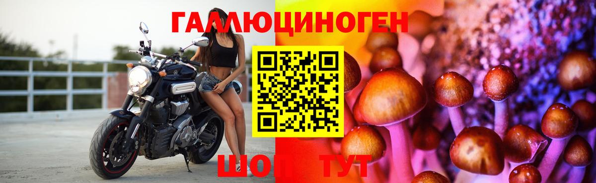 наркотики  Вход с VPN  Галлюциногенные грибы ЛСД  Кудрово  Псилоцибиновые грибы Psilocybe 